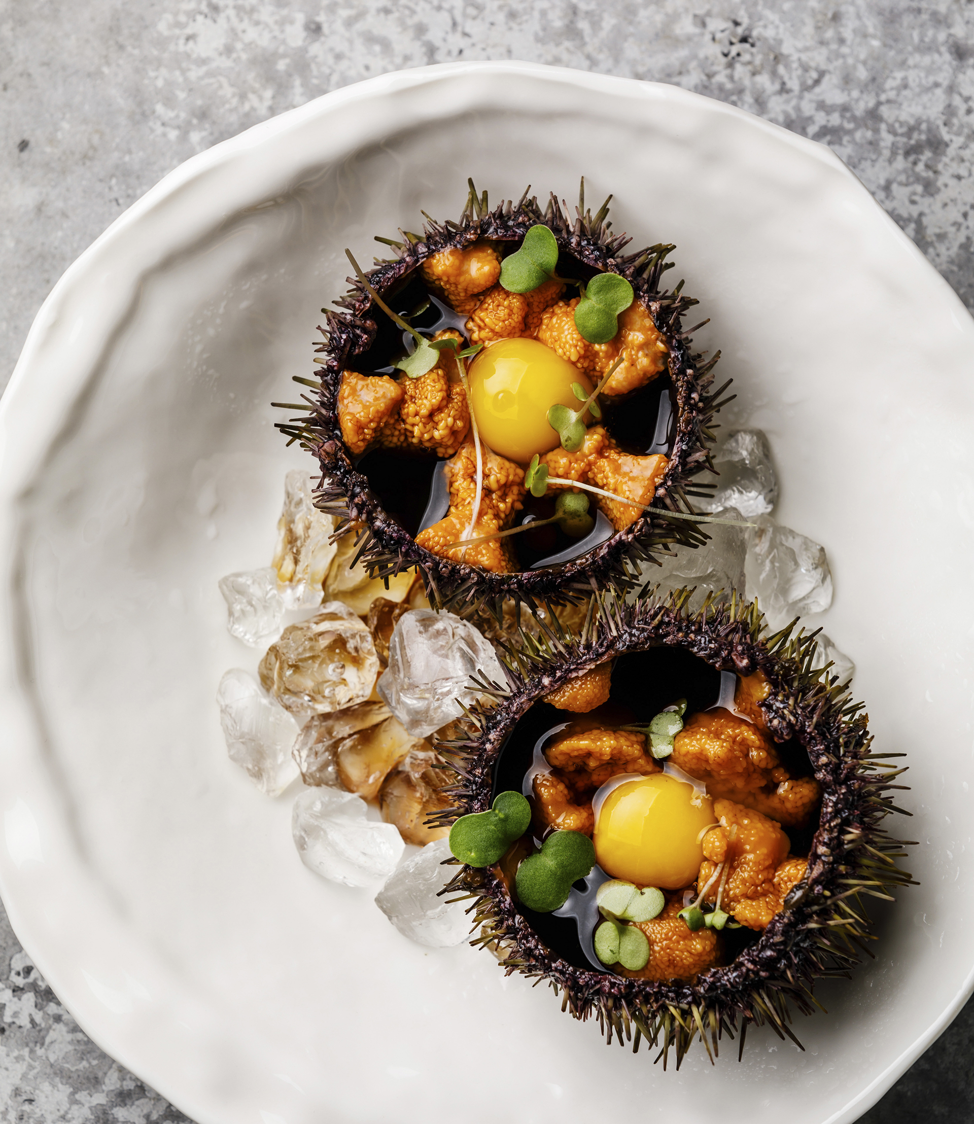 Fresh opened Sea Urchins with quail egg and soy sauce on plate on gray background